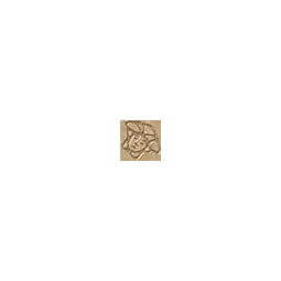 Versace Marble Toz.Medusa Oro Sab 2,7x2,7 см  Вставка